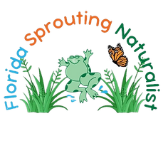 Sprouting Naturalist (1)_edited.png