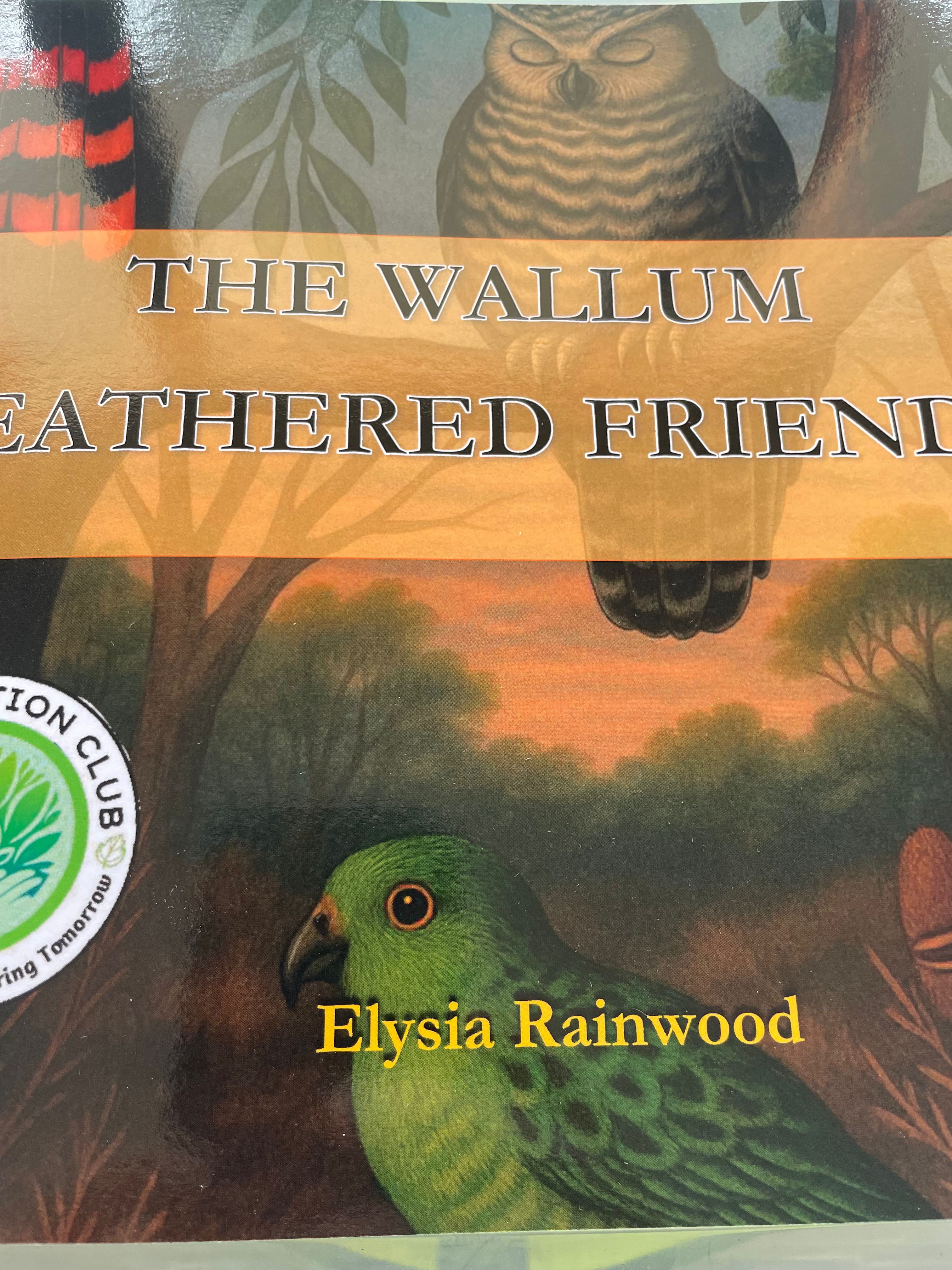 The Wallum Feathered Friend - children's story book