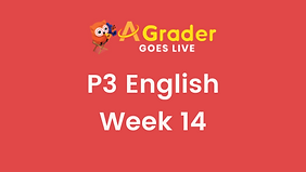 Week 14