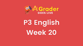 Week 20
