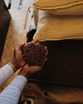 Qvarsebo_kaffe_rosta_kaffeboÌnor_Clara_