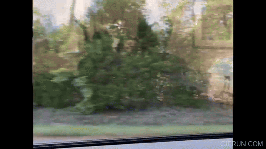 APT2023HUNTERFAMILY_SAMPLETAPE0001.gif