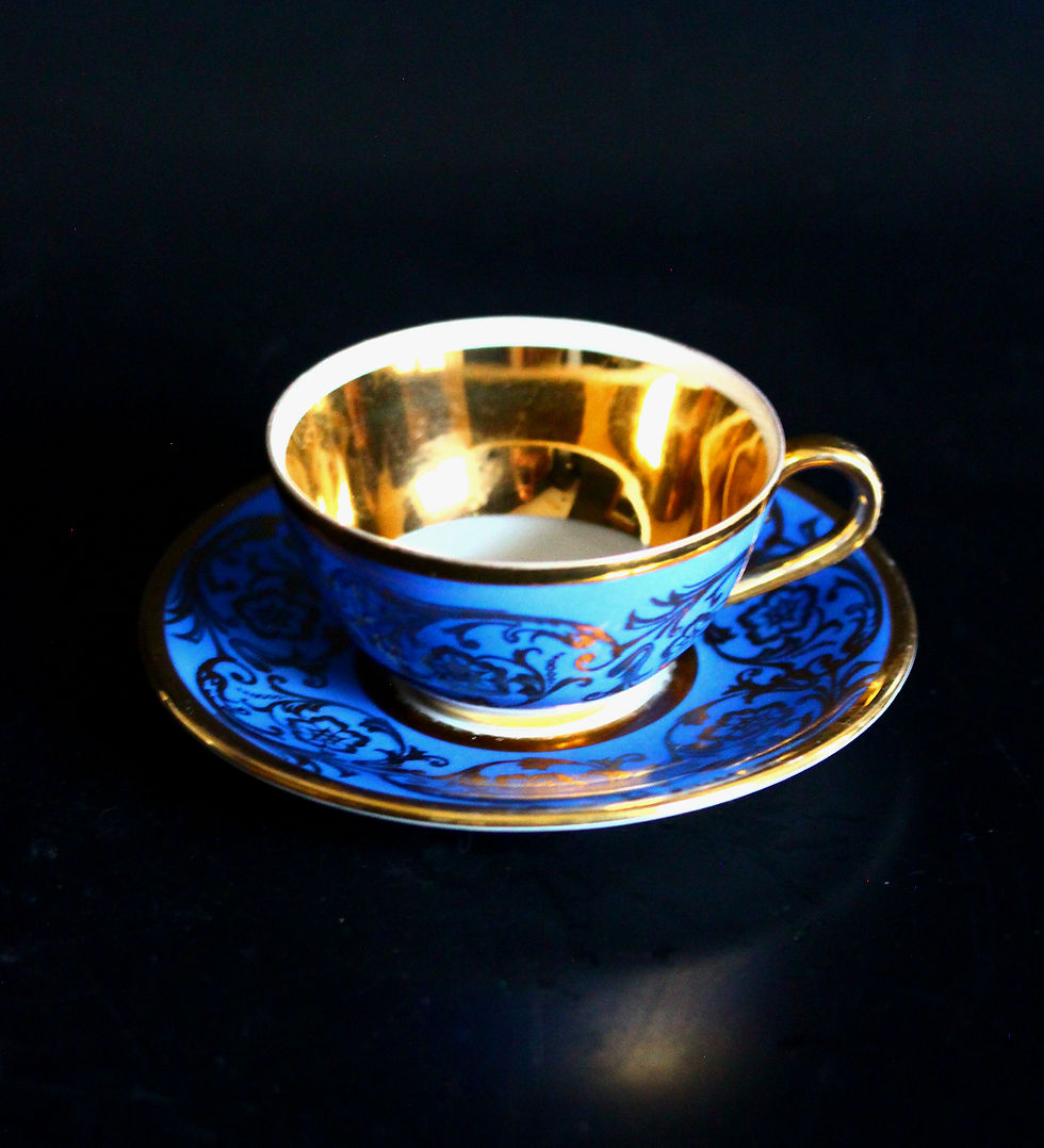 Alman Vintage Bavaria Fincan