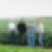 Tender Belly Farmers
