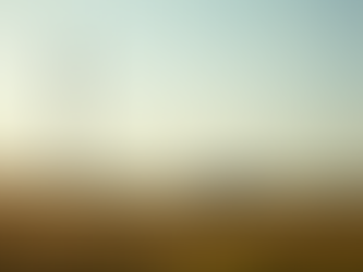 Getting Help Through Local Customer Support