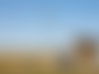 Innovative Rural Connectivity: Solutions for Rural Internet Connectivity