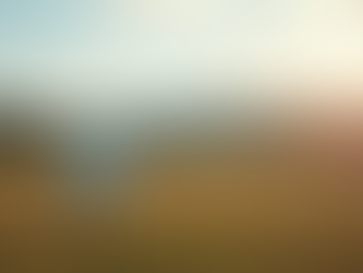 Internet Service Request Guide: Filling Out Your Internet Service Request Form