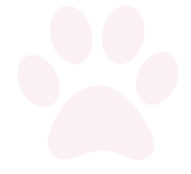 Paw_edited_edited_edited_edited_edited.png