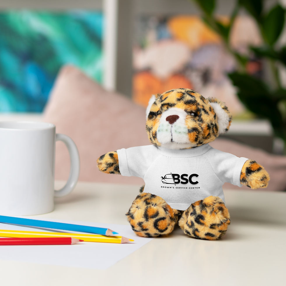 Thumbnail: Plush Bear with T-Shirt