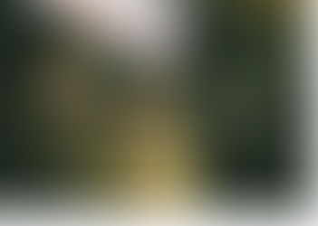 写真にコピーを入れるとそれっぽい