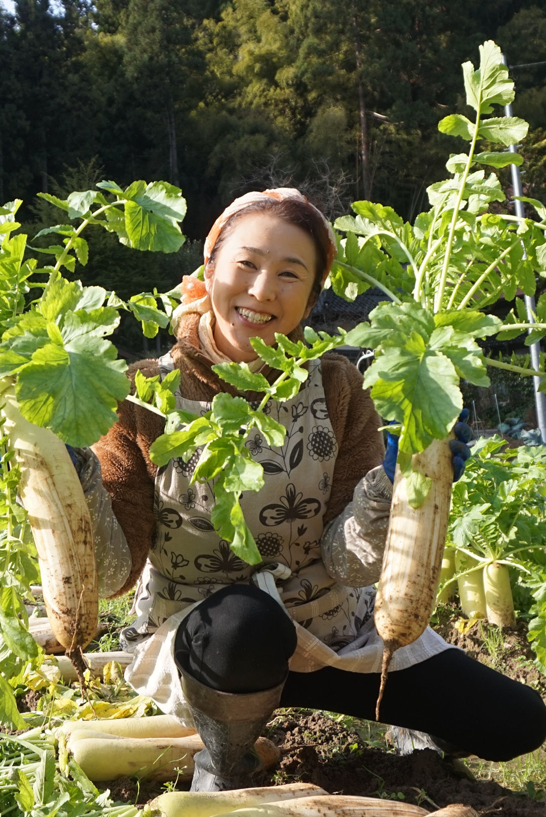 畑セラピー 年間コース(12回)