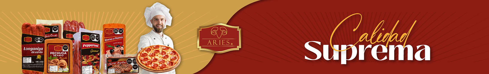 Banner-inicio-Aries.jpg