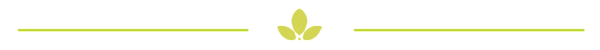 Strip_Transparent-2-1024x85.png