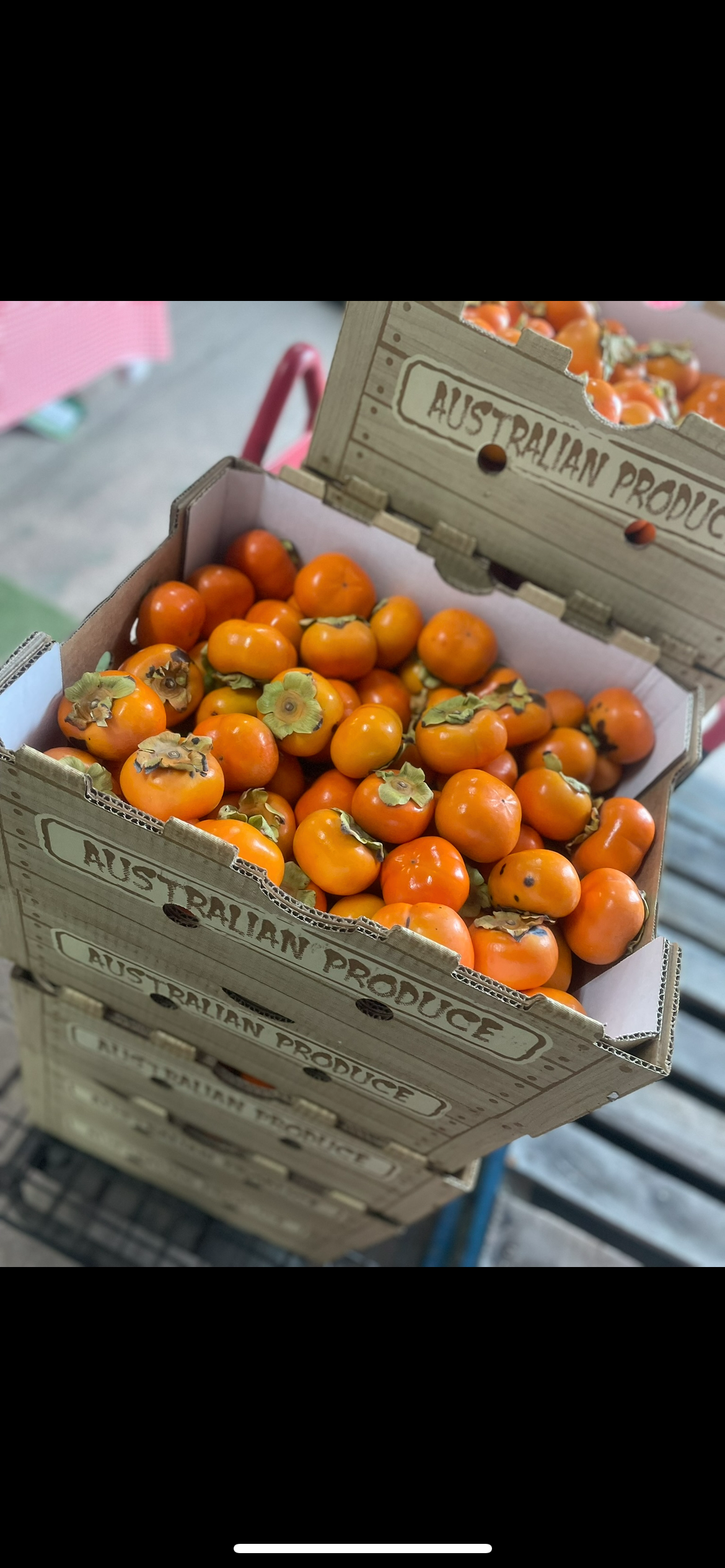 PERSIMMONS 1KG 