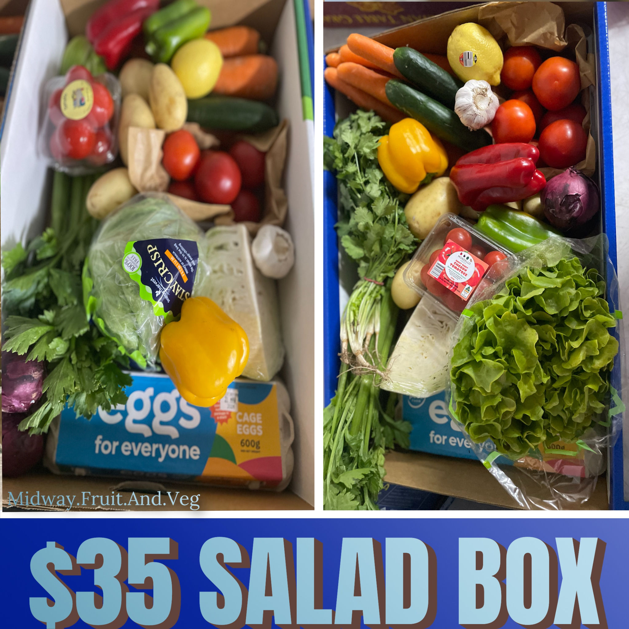 FRESH SALAD BOX