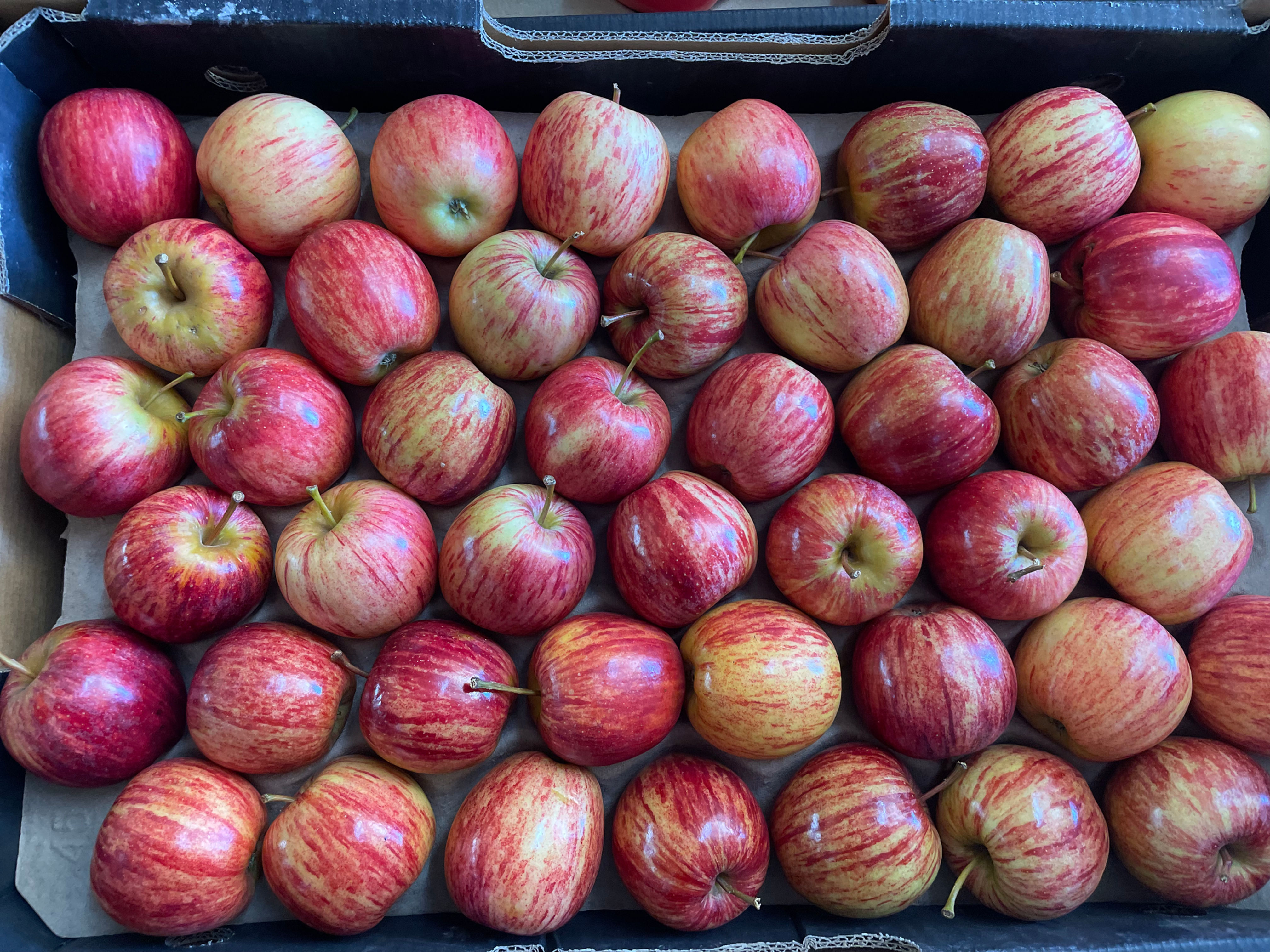 APPLES - ROYAL GALA 1KG 