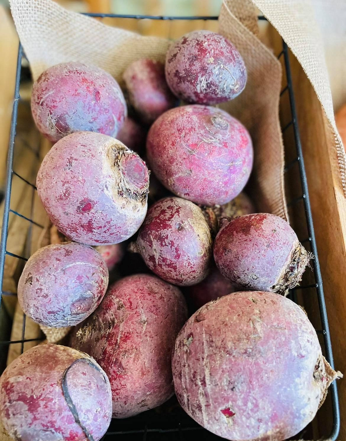 BEETROOT - LOOSE EA