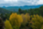 Palanques-6