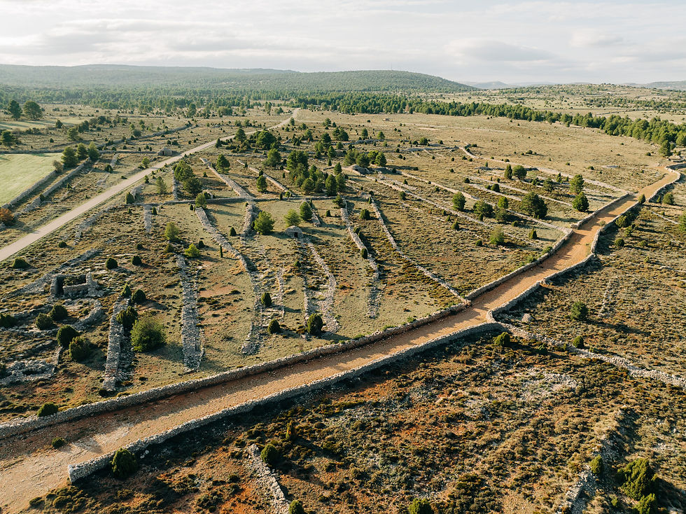 Votos Vilafranca - Web-276.jpg