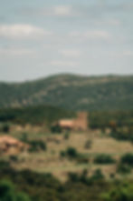 Nuum - Web-113.jpg