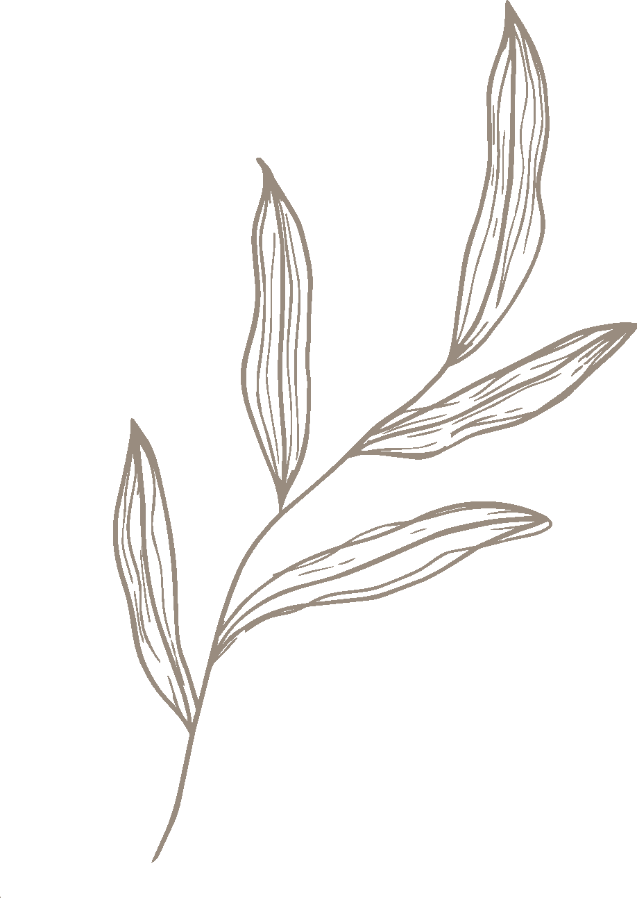 Recurso 3_300x.png