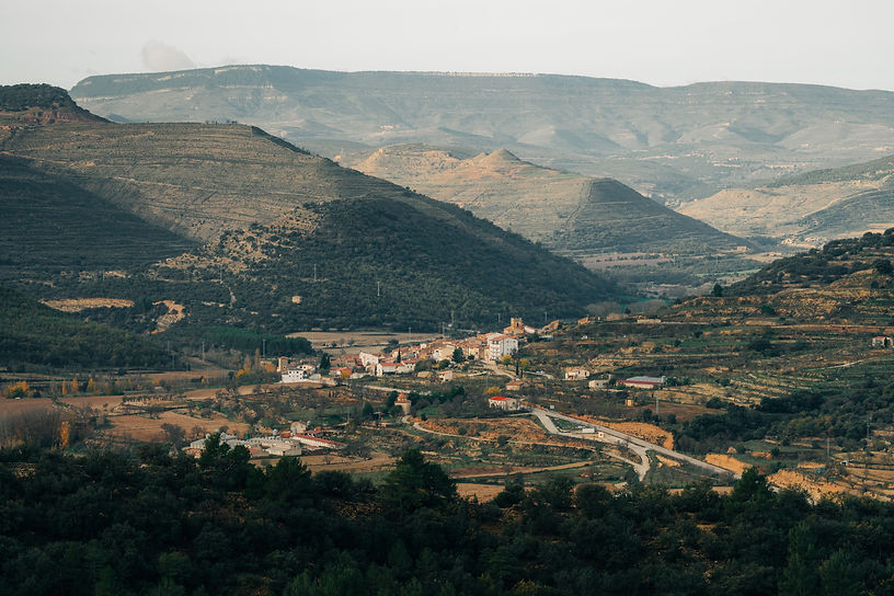 La mata.jpg