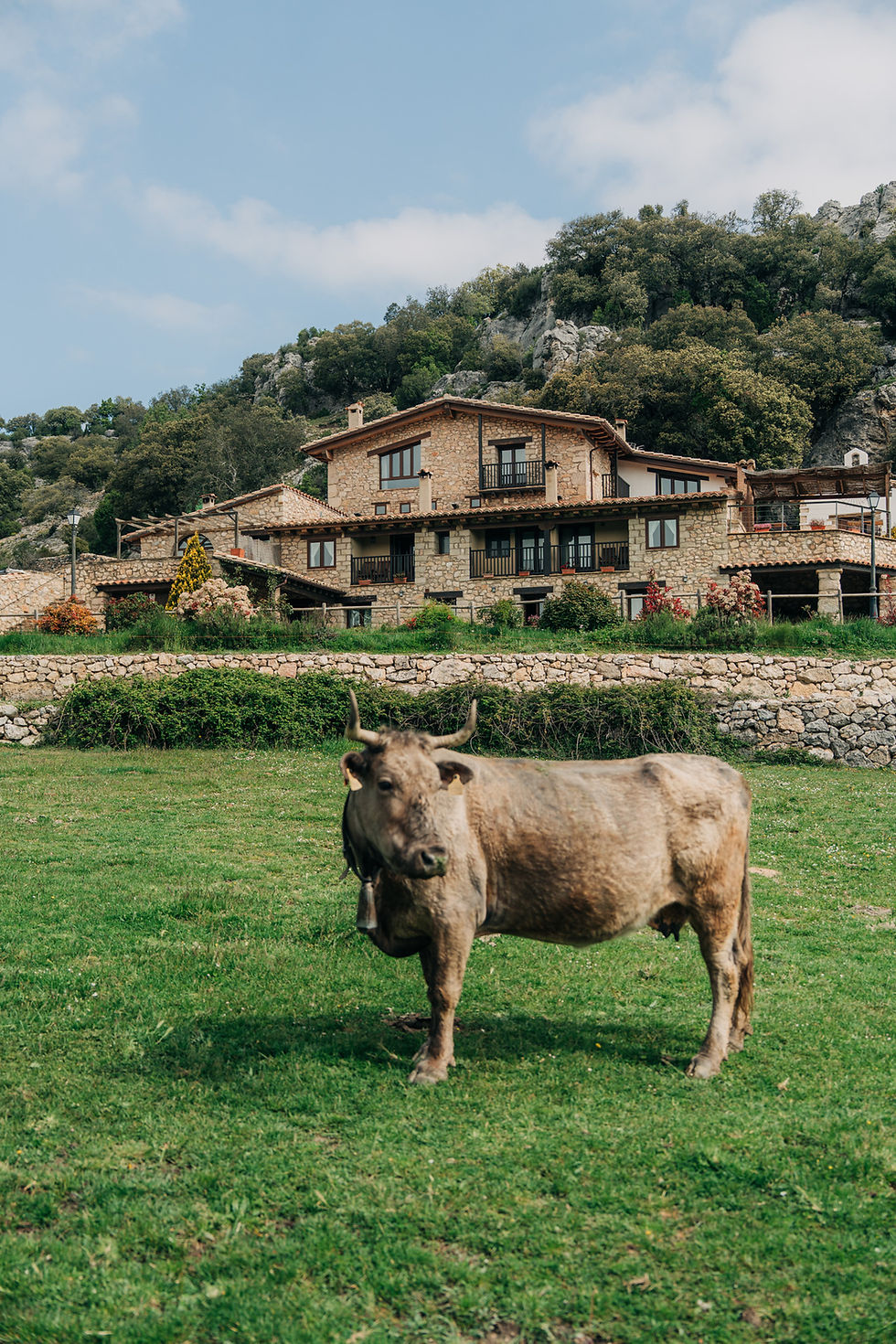 Font d'en Torres - Web-131.jpg