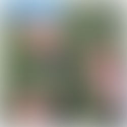 ¿PUEDES SENTIR EL OLOR A LAVANDA?