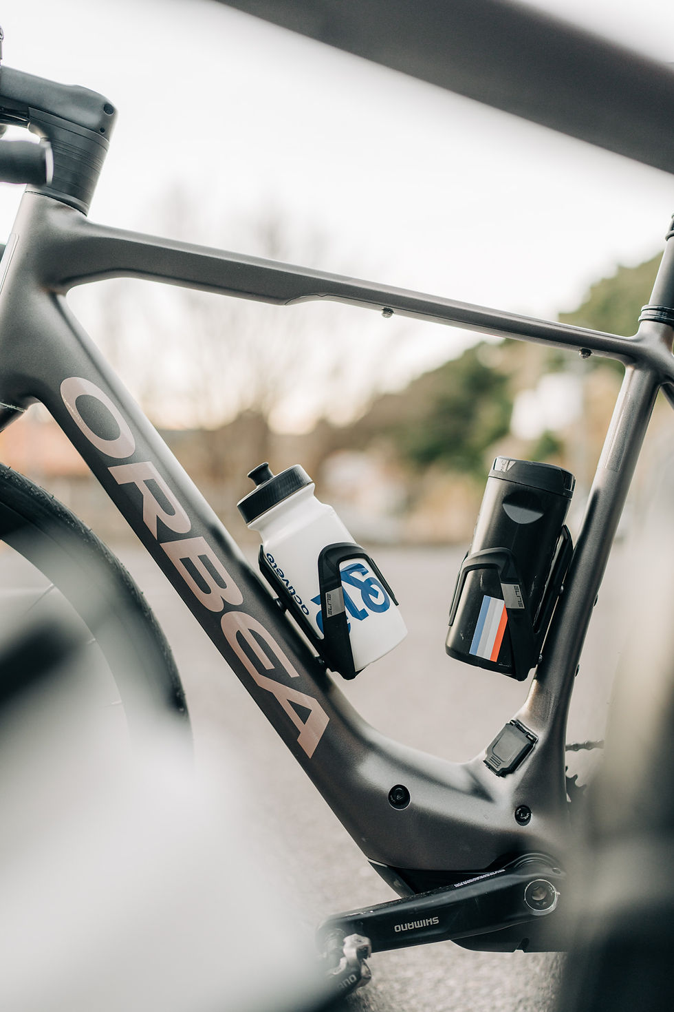 Activelo - Web-215.jpg