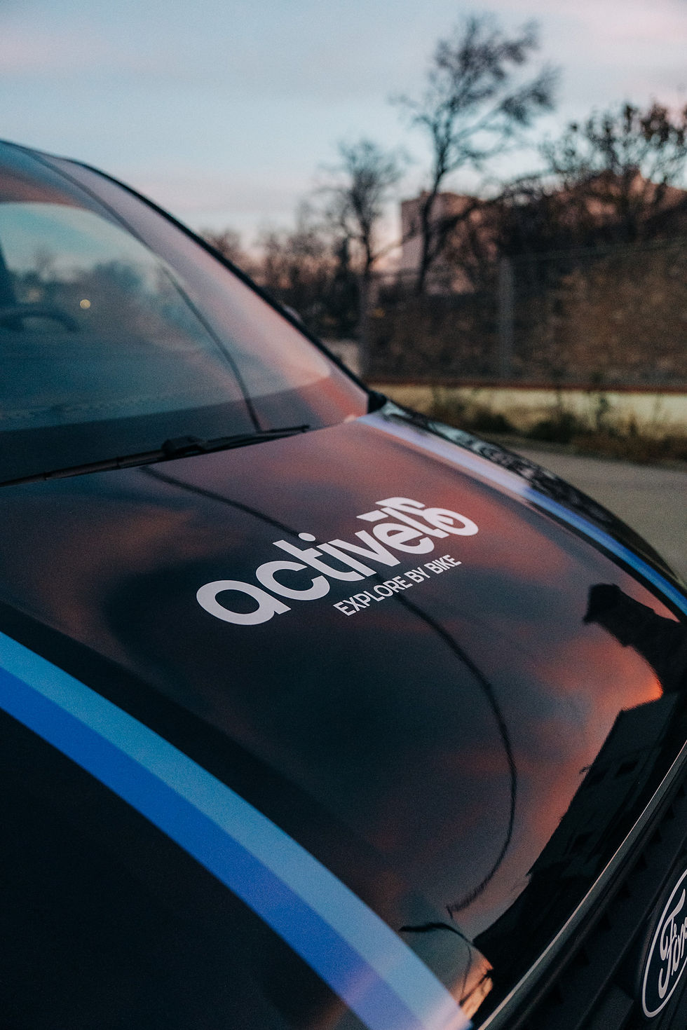 Activelo - Web-1.jpg