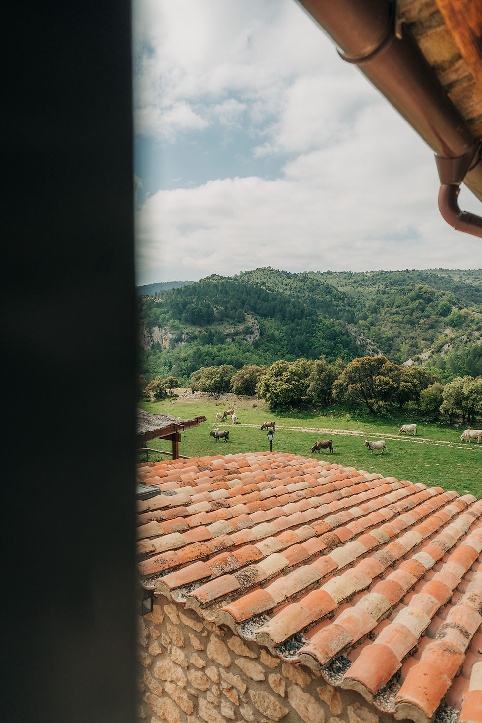 Font d'en Torres - Web-86.jpg