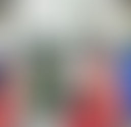 Primera etapa en Kurdistán