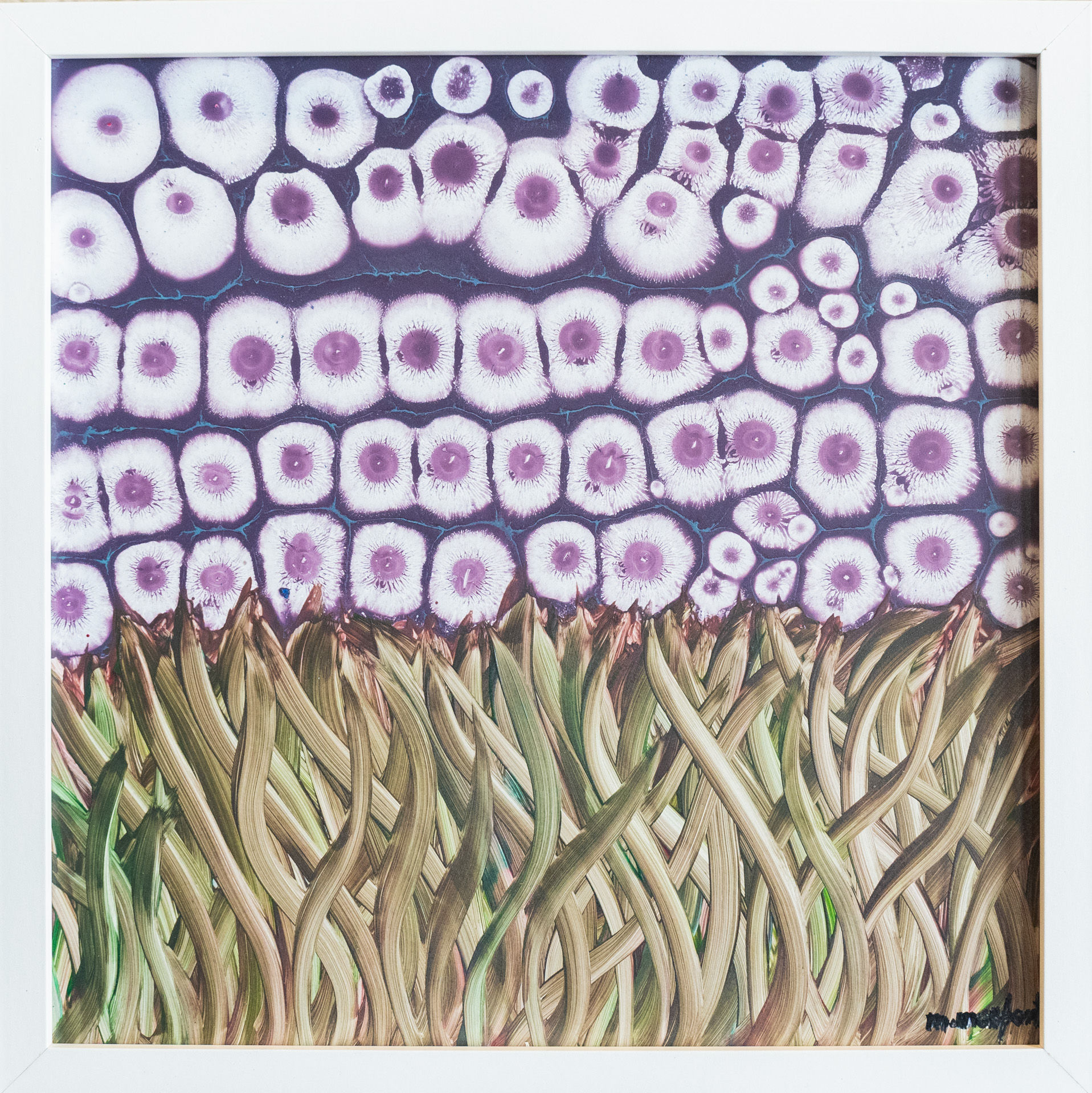 Alco 1  30 x 30