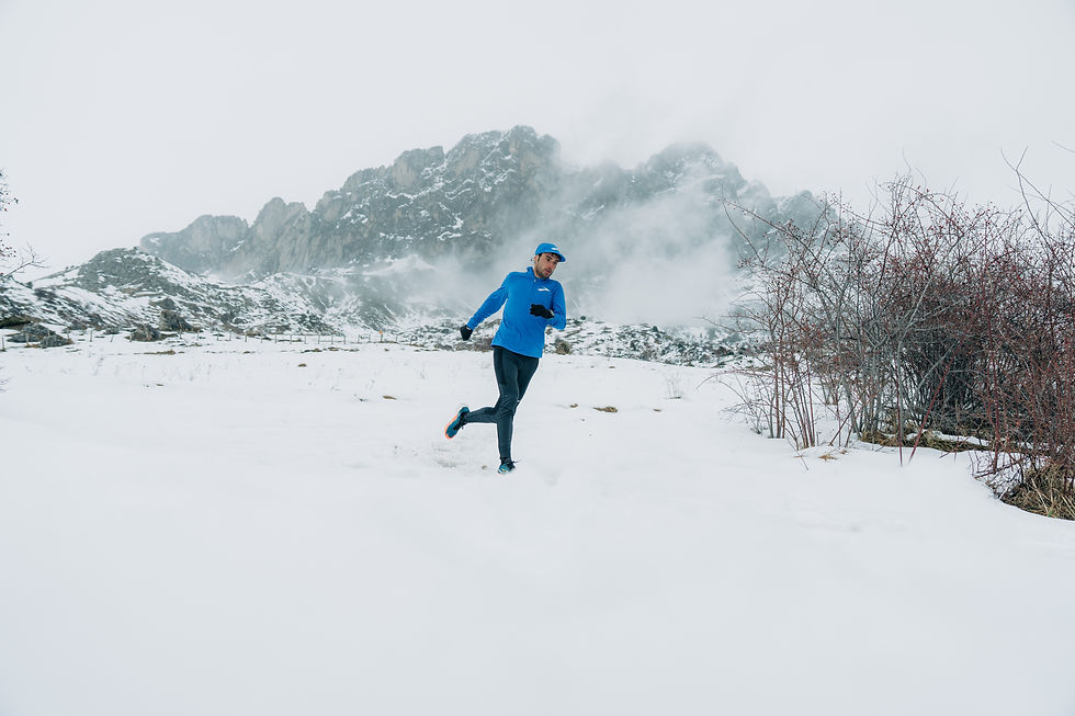Ricardo - Valle de Tena