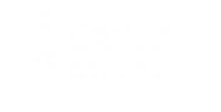 Conselleria de Innovació, Indústria, Comerç i Turisme_BLANCO_VAL.png