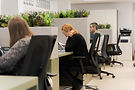 Querol assessors-49.jpg
