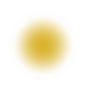 Vector