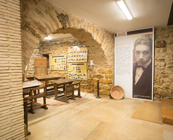 Carles Salvador 1.jpg