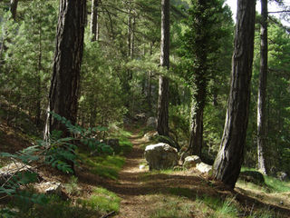 La parreta_actividades_7.Un_paseo_por_la_font_d'horta_002.jpg