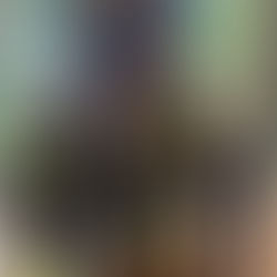 Bollettino del 11.07.2025