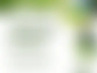 La Piramide Lavoro cerca un giardiniere