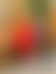 Sicurezza a 360°: al via il primo corso di primo soccorso con Gidiesse e CRI Monza