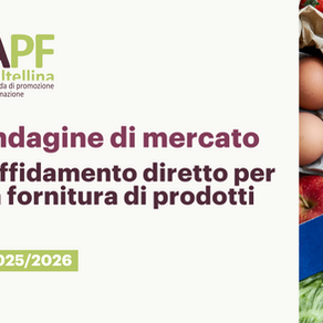 Indagine di mercato per l'affidamento diretto per la fornitura di prodotti durante l'anno 2025/26
