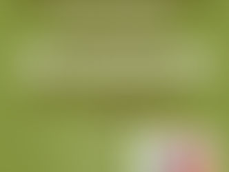 Inaugurazione de “La Serra social green”