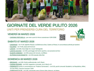 Pulizia del Verde al parco