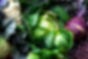 Cucina vegetale | Inverno