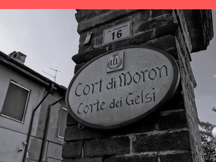 TESSIAMO RETI GENERIAMO VALORE – Video Racconto dell’Evento.