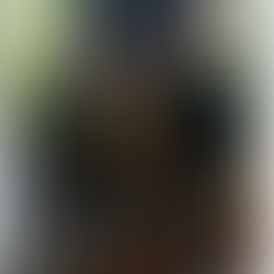 Bollettino del 14.03.2025