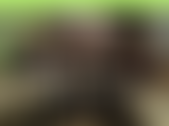 Ristoponte: Vieni a scoprire questa golosa iniziativa!!!