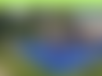 Tutti in rete RECAP – Miniparalimpiadi per tutti